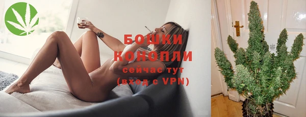 гидра Медвежьегорск