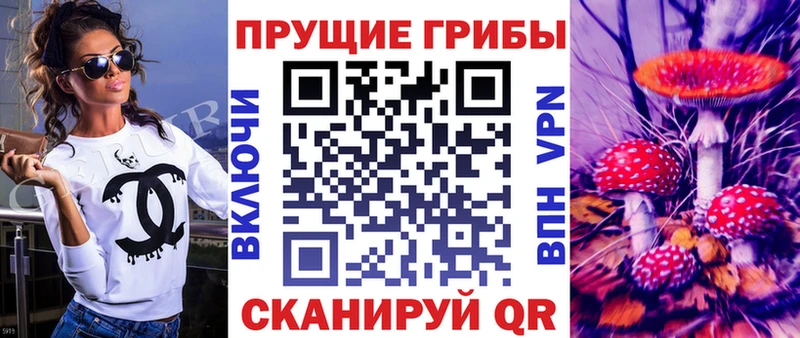 Галлюциногенные грибы Psilocybe  Купить  Шахунья 