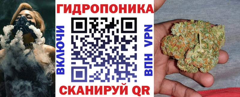 Марихуана планчик  Купить закладки  Шахунья 